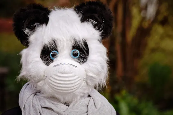 BetTilt Casino Soporte